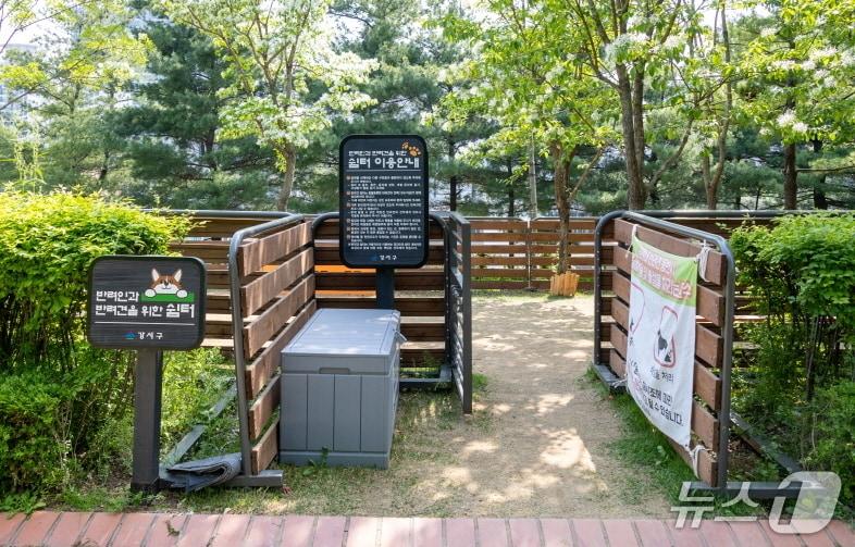 본문 이미지 -  (서울 강서구 제공) 