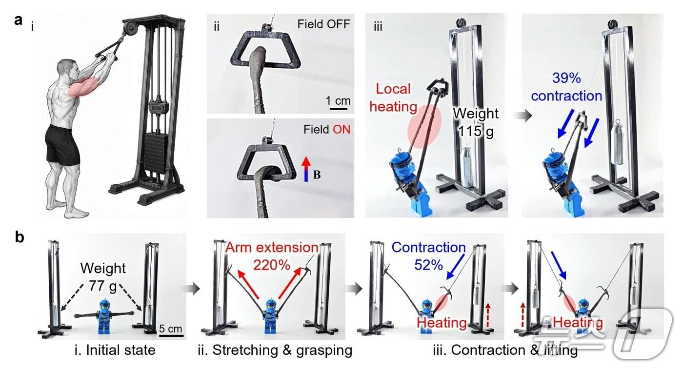 로봇 팔 시스템을 통한 자기 인공근육의 동작 시연 모습.(UNIST 제공. 재판매 및 DB금지)/뉴스1