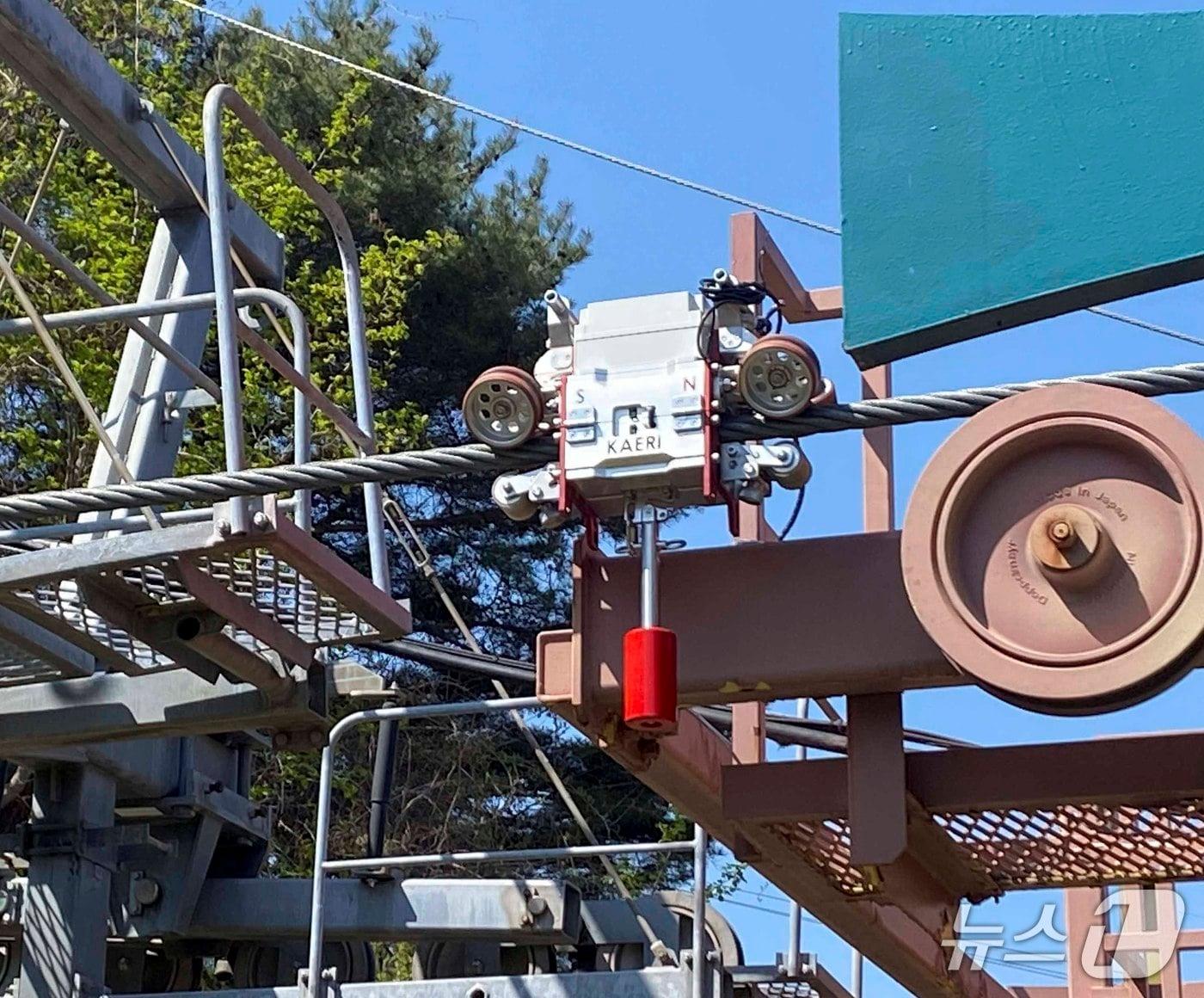 본문 이미지 - 로프 닥터를 활용한 와이어로프 검사(원자력연 제공) /뉴스1