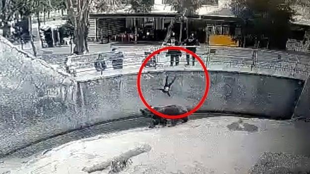 본문 이미지 - (데일리메일)