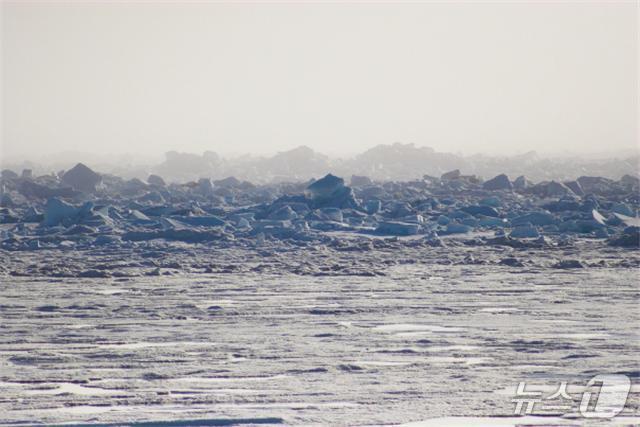본문 이미지 - 북극의 봄철 지표면 오존이 거의 사라지고 브롬 농도가 급격히 높아지는 '브롬 폭발' 현상이 관측되고 있다. 미국 알래스카 배로우 (극지연구소 제공, 출처 : Nature Geoscience 온라인)