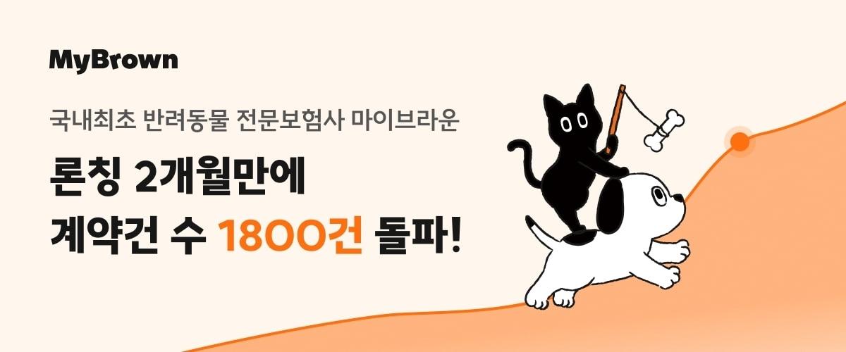 본문 이미지 - 반려동물 전문 보험사 마이브라운반려동물전문보험이 출범 두 달 만에 보험 계약 1800건을 돌파했다고 밝혔다(마이브라운 제공). ⓒ 뉴스1