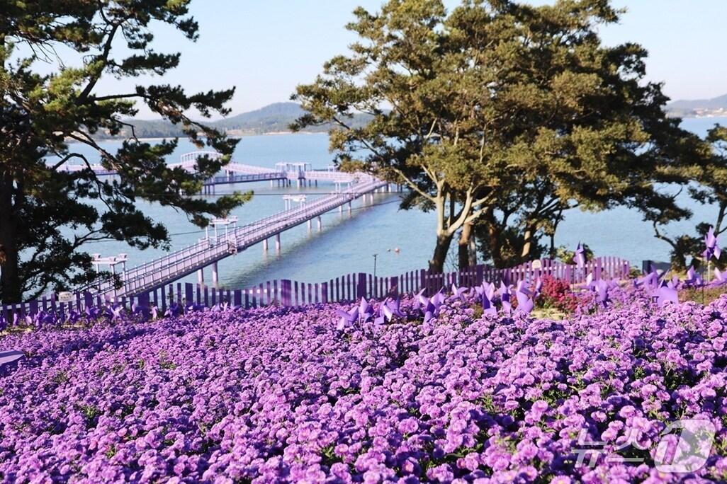 본문 이미지 - 신안 퍼플섬 전경.&#40;신안군 제공. 재판매 및 DB금지&#41; 2025.9.17/뉴스1