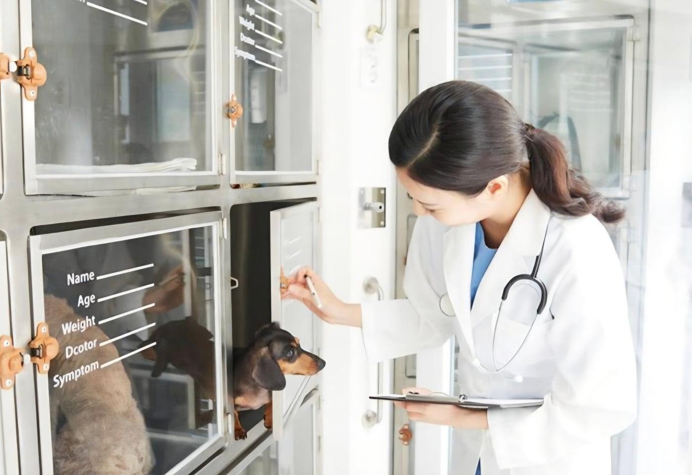 건국대 수의대 홈페이지 갈무리 ⓒ 뉴스1