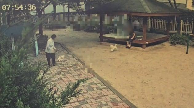 본문 이미지 - &#40;보배드림 갈무리&#41;