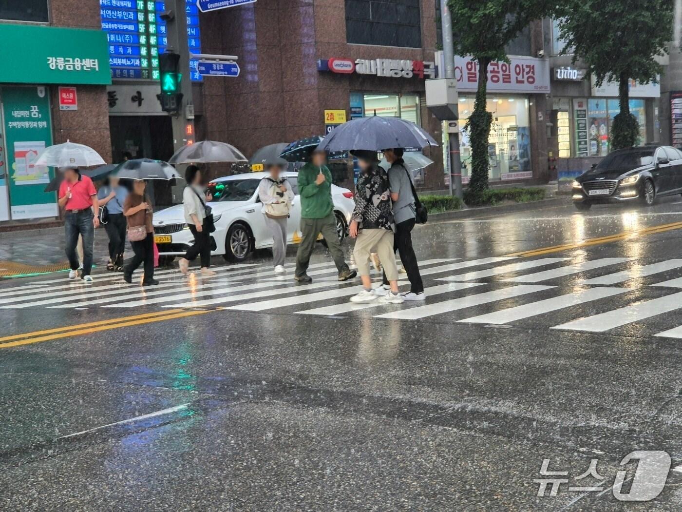 본문 이미지 - 극심한 가뭄을 겪고 있는 강원 강릉에 단비가 내린 17일 시민들이 우산을 쓰고 횡단보도를 걷고 있다. 2025.9.17/뉴스1 윤왕근 기자