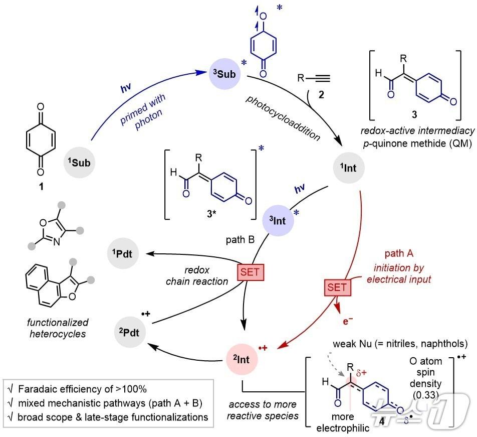본문 이미지 - 반응 시스템에 대한 도식화(한국연구재단 제공) /뉴스1