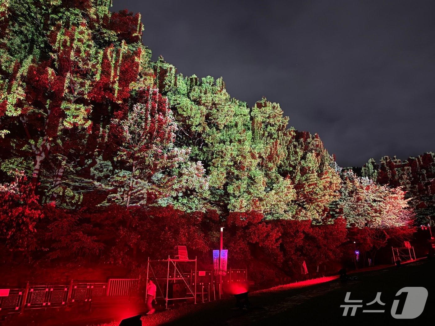 본문 이미지 - 이진준 KAIST 문화기술대학원 교수가 연출한 프로젝션 매핑&#40;KAIST 제공&#41; /뉴스1