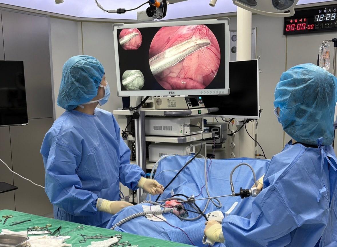 본문 이미지 - 본동물의료센터 의료진이 복강경을 이용해 수술하고 있다(본동물의료센터 제공). ⓒ 뉴스1