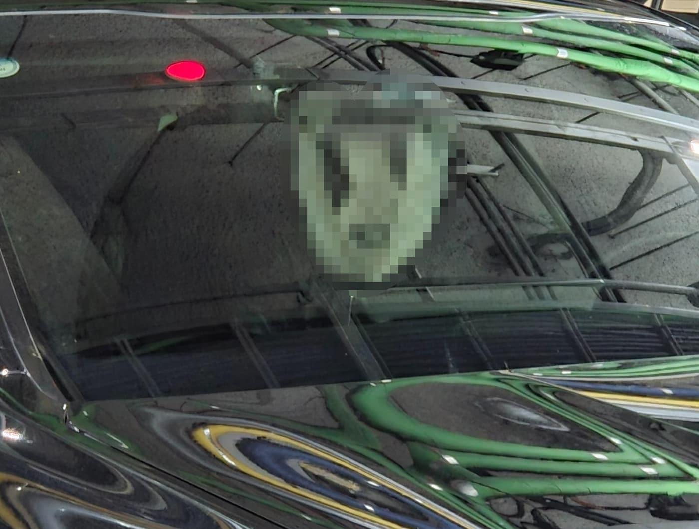 본문 이미지 - &#40;보배드림&#41;