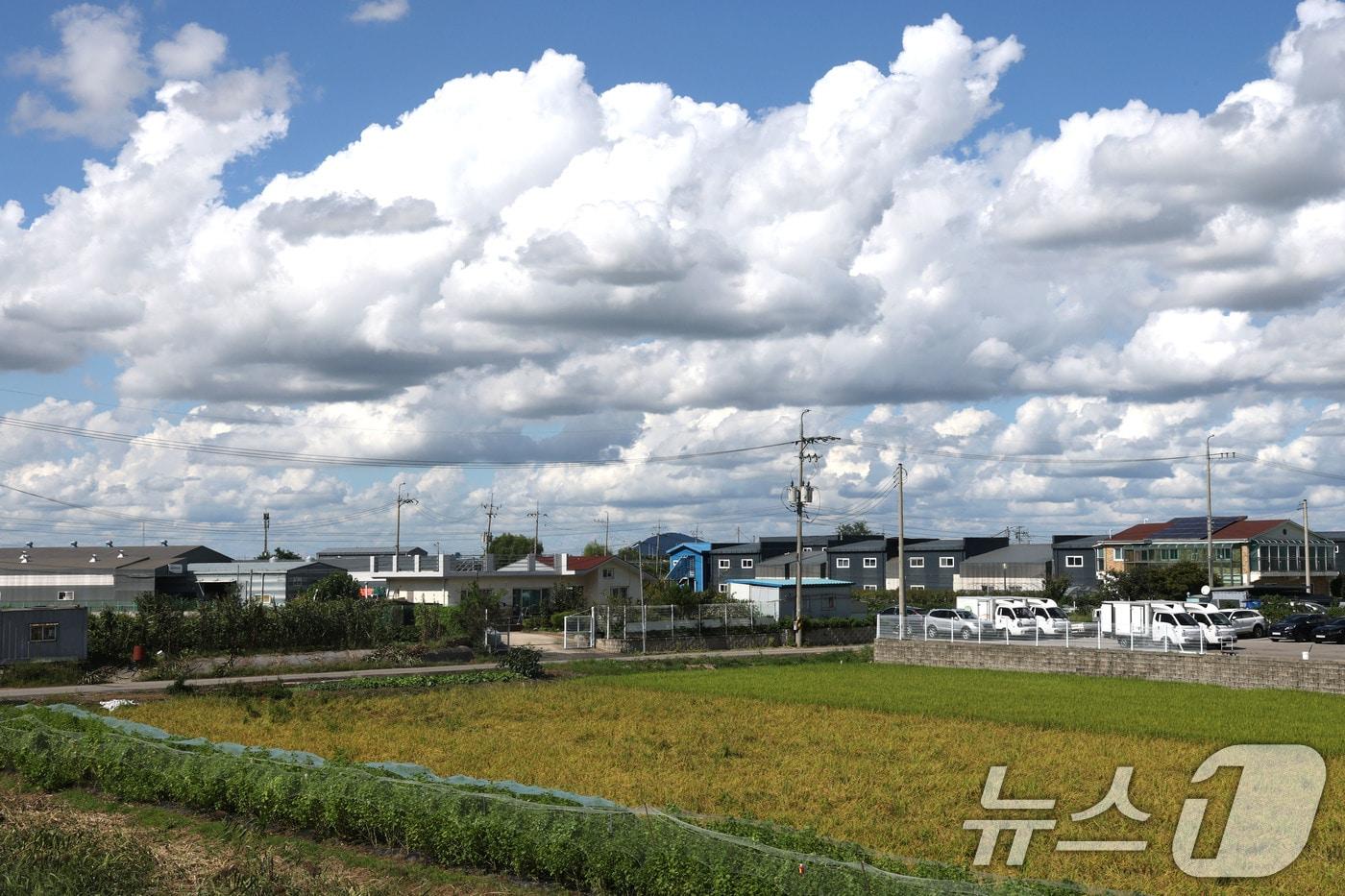 맑고 화창한 날씨를 보인 18일 경기 김포의 들녘 위로 뭉개구름이 떠 있다. 2025.9.18/뉴스1 ⓒ News1 이광호 기자