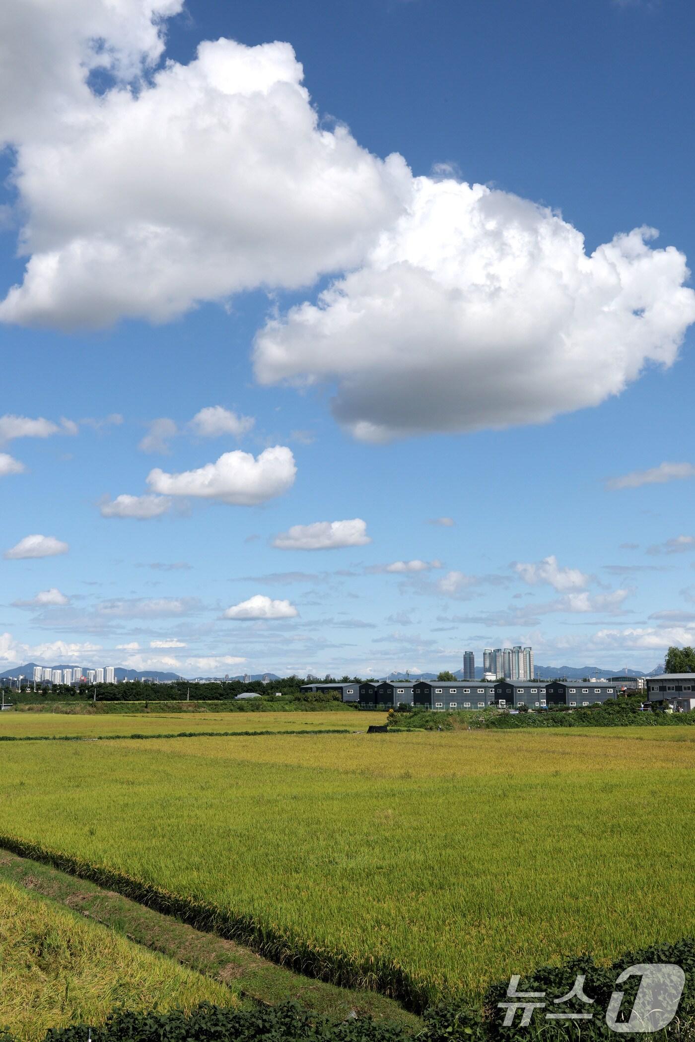 본문 이미지 - 날씨 자료사진. /뉴스1