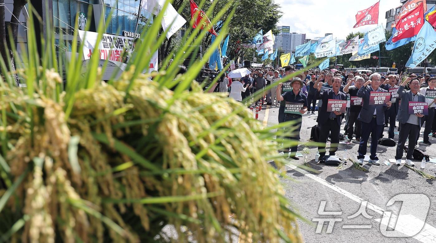 본문 이미지 - 전국농민회총연맹 관계자들이 18일 서울 용산구 서울역 앞에서 열린 수확기 쌀값 보장 전국 농민대회에서 손피켓을 들고 구호를 외치고 있다. (사진은 기사 내용과 무관함) 2025.9.18 ⓒ 뉴스1 김성진 기자