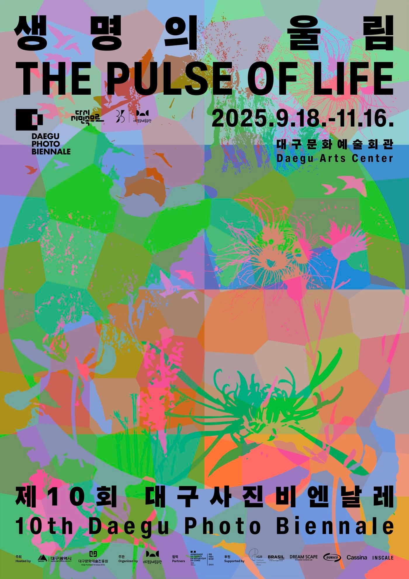 본문 이미지 - 제10회 대구사진비엔날레 포스터 (대구문화예술진흥원 제공)
