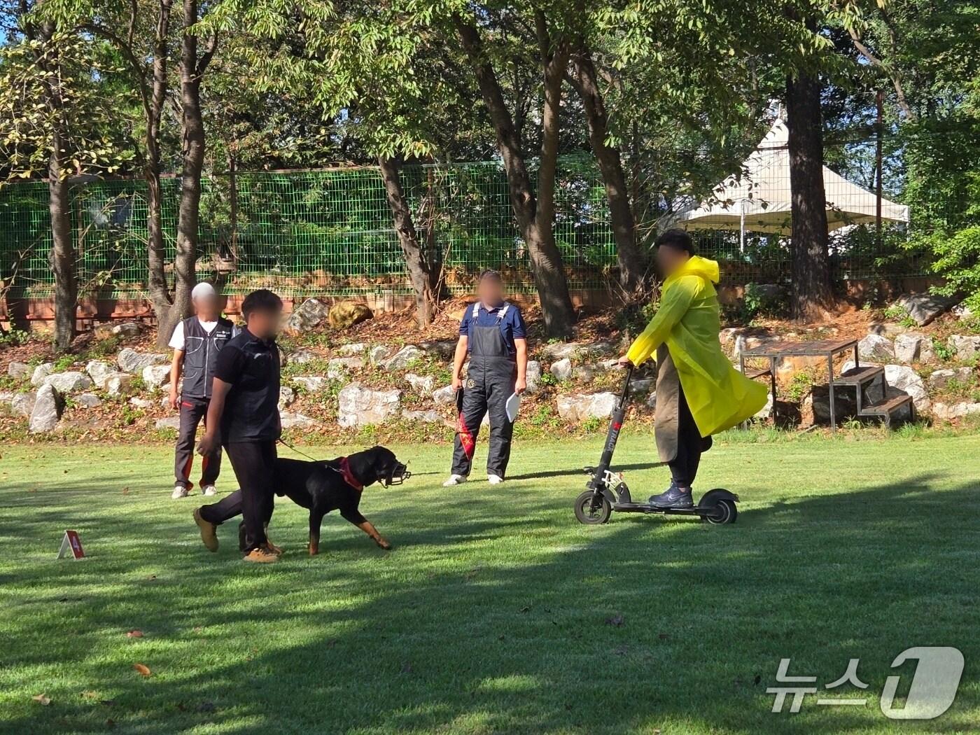 본문 이미지 - 경기도 맹견 기질평가 모습. (경기도 제공, 재판매 및 DB금지)