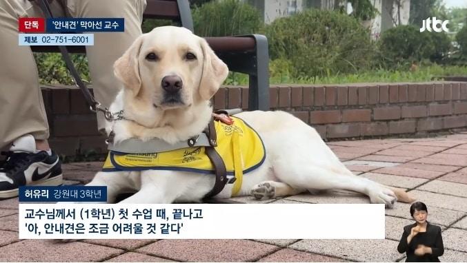 본문 이미지 - &#40;JTBC 갈무리&#41;