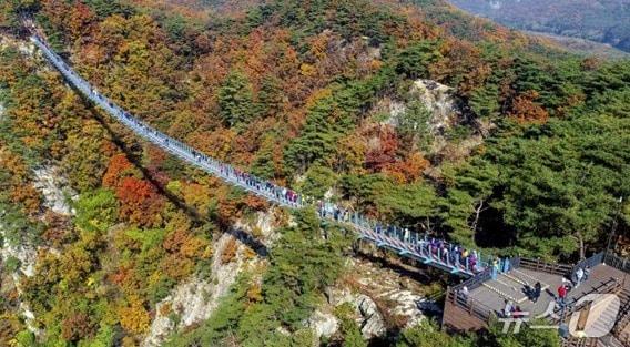 본문 이미지 - 강원 원주시 소금산그랜드밸리 내 출렁다리 자료 사진. &#40;원주시시설관리공단 제공. 재판매 및 DB금지&#41; 2025.9.19./뉴스1