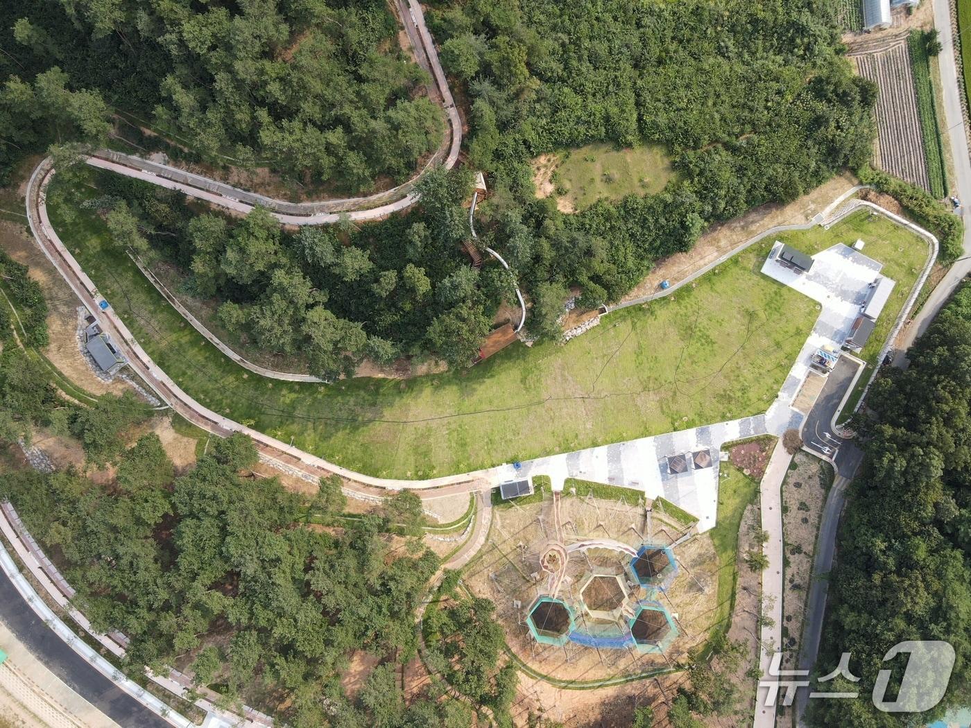 본문 이미지 - 홍천군 숲속놀이공원.&#40;홍천군 제공. 재판매 및 DB금지&#41;/뉴스1