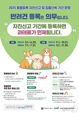 본문 이미지 - 동물등록 자진신고 기간 운영 포스터 