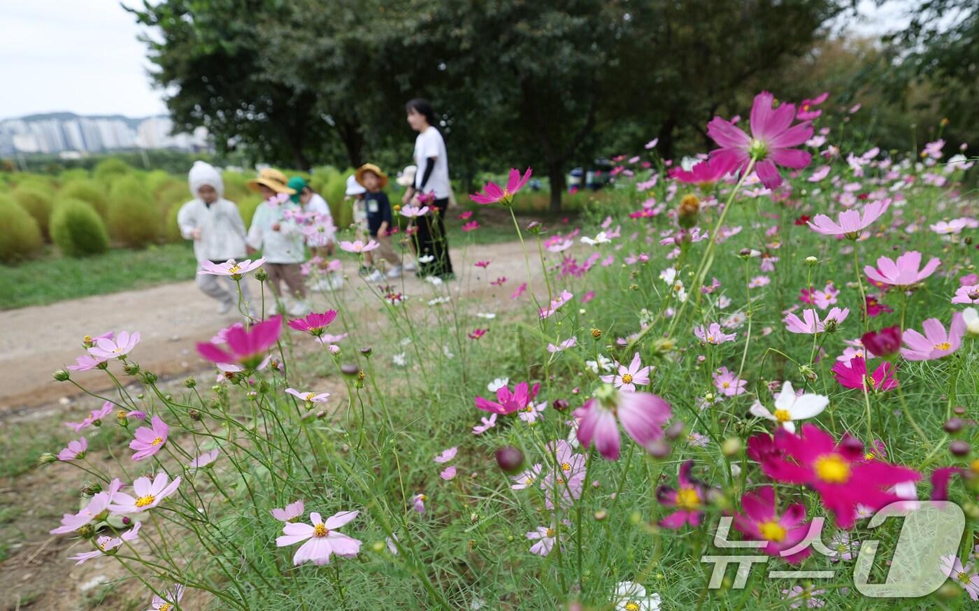 자료사진. 2025.9.19/뉴스1 ⓒ News1 김영운 기자