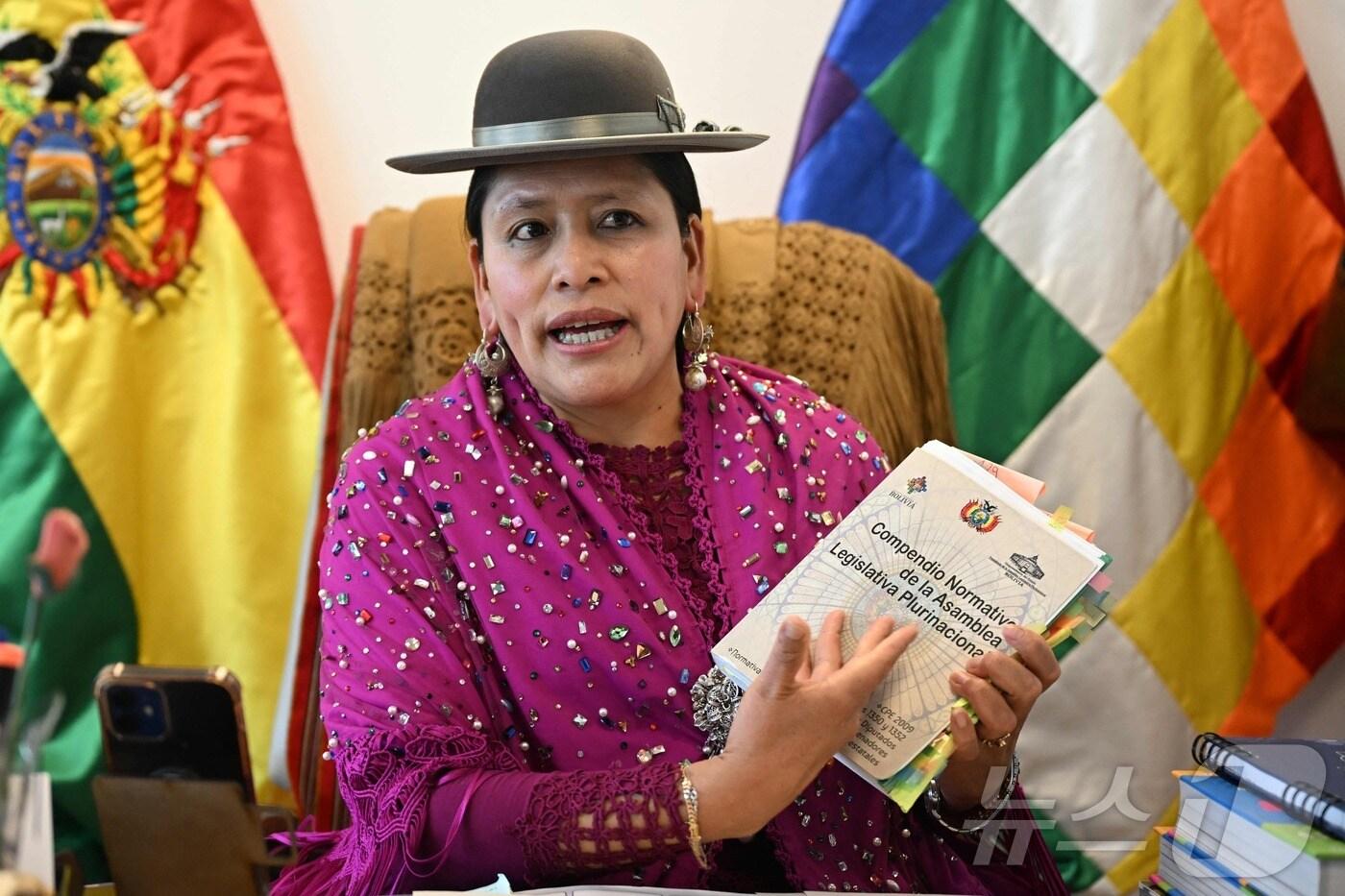 여당 사회주의운동당의 비르히니아 벨라스코 상원의원이 3일(현지시간) 라파스에서 AFP와 인터뷰를 진행하고 있다. 볼리비아 하원은 17일 18세 미만 아동·청소년의 결혼과 사실혼을 금지하는 가족법 개정안을 통과시켰다. 2025.09.03. ⓒ AFP=뉴스1 ⓒ News1 윤다정 기자