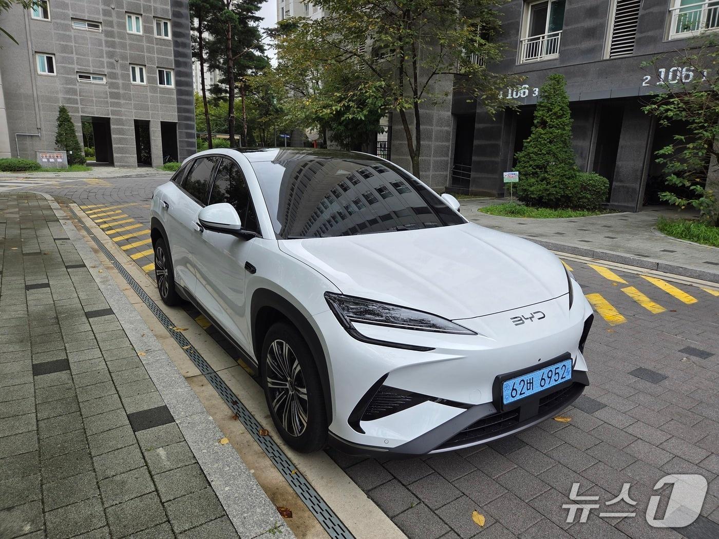 본문 이미지 - 씨라이언 7  ⓒ News1 박기범 기자 