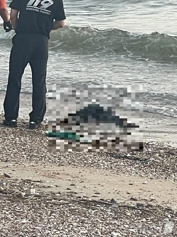 본문 이미지 - 태안 꽃지해수욕장에서 발견된 사체. (독자제공,  재판매 및 DB금지) / 뉴스1