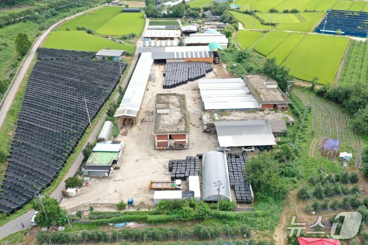 본문 이미지 - 보은군 가축분뇨 처리시설 조성 예정지 장안면 오창리 일대 /뉴스1 