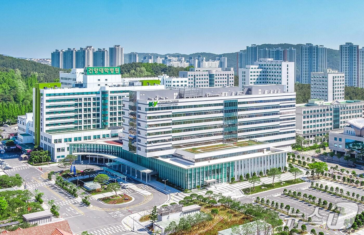 건양대병원 전경 /뉴스1