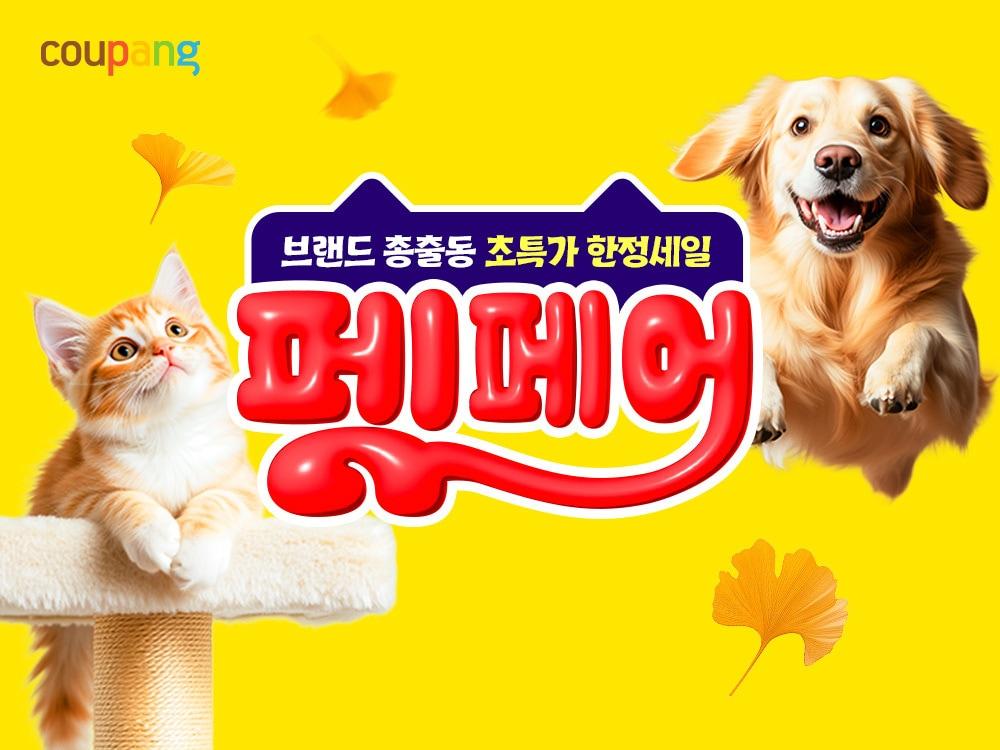 본문 이미지 - (쿠팡 제공)