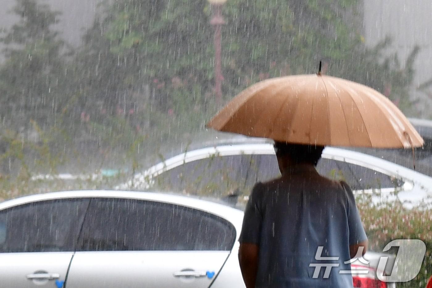 지난 2일 경북 포항시 전역에 국지성 소나기가 쏟아지고 있다. 2025.9.2/뉴스1 ⓒ News1 최창호 기자