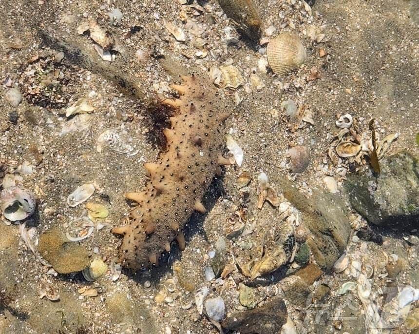 본문 이미지 - (사진은 기사 내용과 무관함) / 뉴스1 ⓒ News1