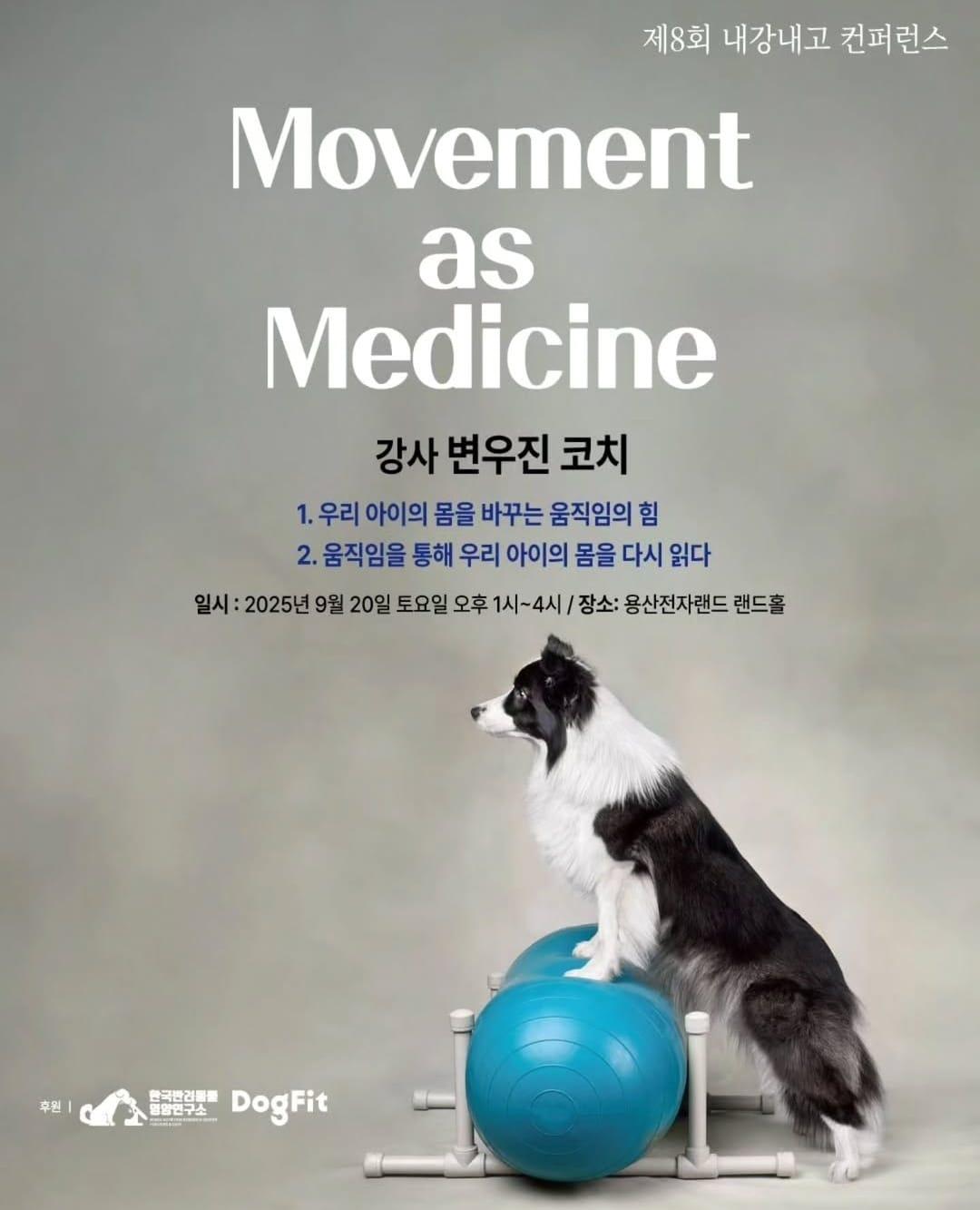 본문 이미지 - 내강내고 포스터 ⓒ 뉴스1