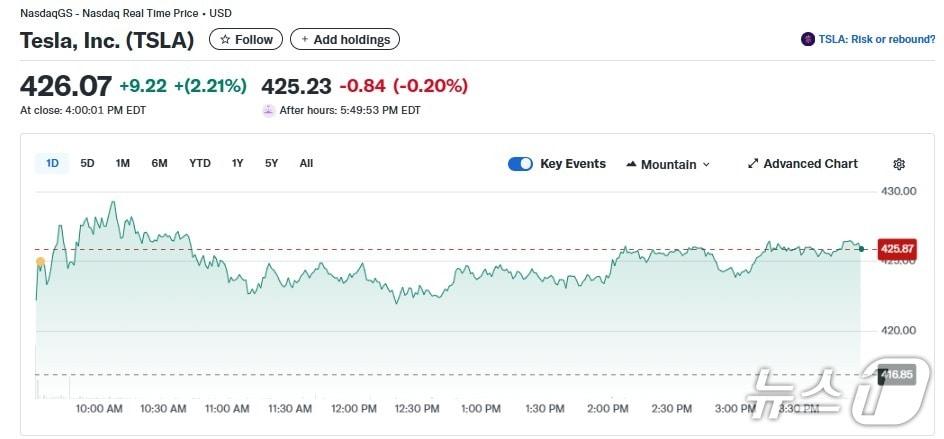 본문 이미지 - 테슬라 일일 주가추이 - 야후 파이낸스 갈무리