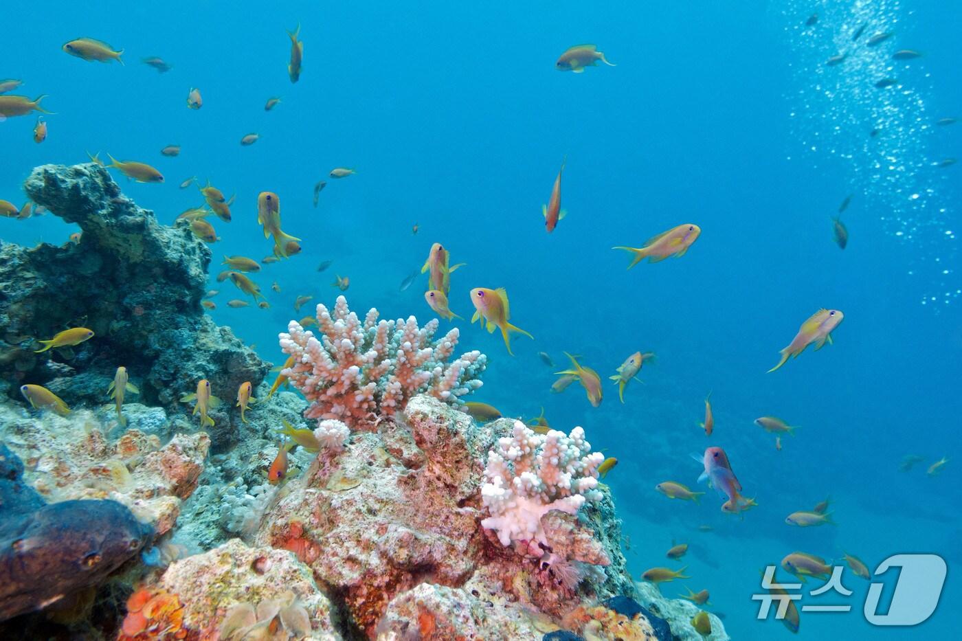 (이미지출처: 클립아트코리에)(사진은 기사 내용과 관련 없음)ⓒ 뉴스1
