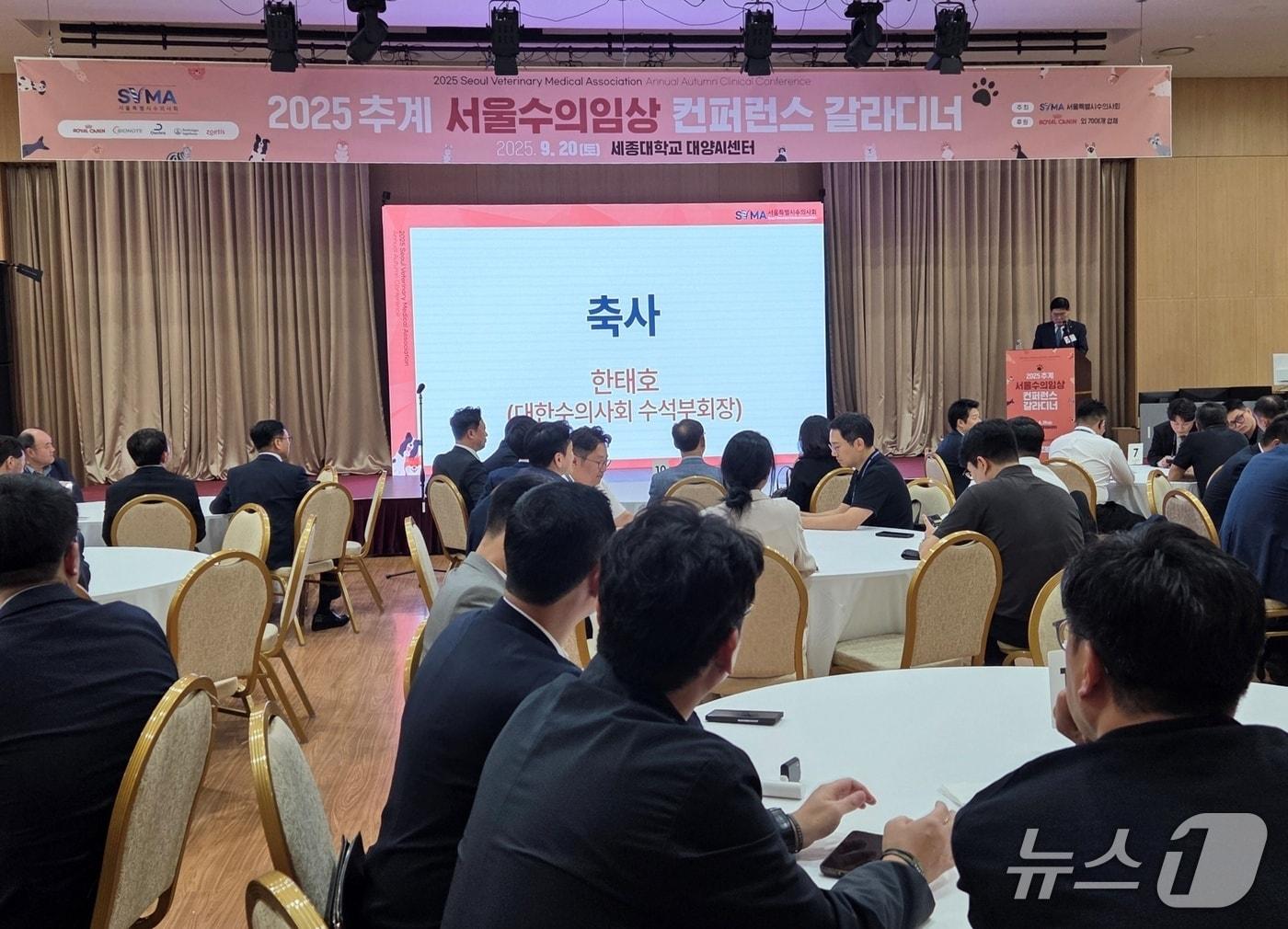 본문 이미지 - 한태호 대한수의사회 수석부회장이 20일 열린 &#39;서울수의임상컨퍼런스&#39;에서 발언을 하고 있다. ⓒ 뉴스1 한송아 기자