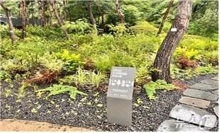 본문 이미지 - (서울시 제공)  