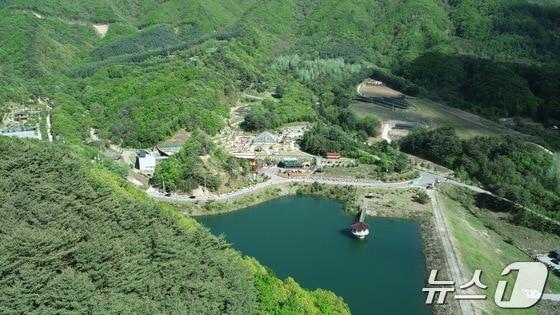 본문 이미지 - 양구수목원 전경./뉴스1