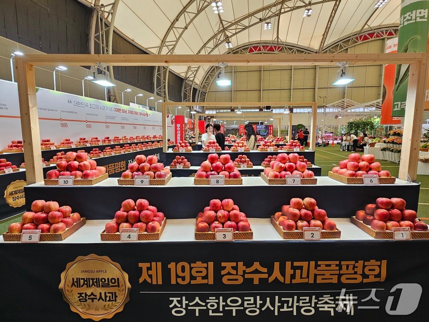 본문 이미지 - &#39;제19회 장수 한우랑 사과랑 축제&#39;에서 사과 품평회가 열리고 있다.&#40;장수군 제공. 재판매 및 DB금지&#41;2025.9.21/뉴스1