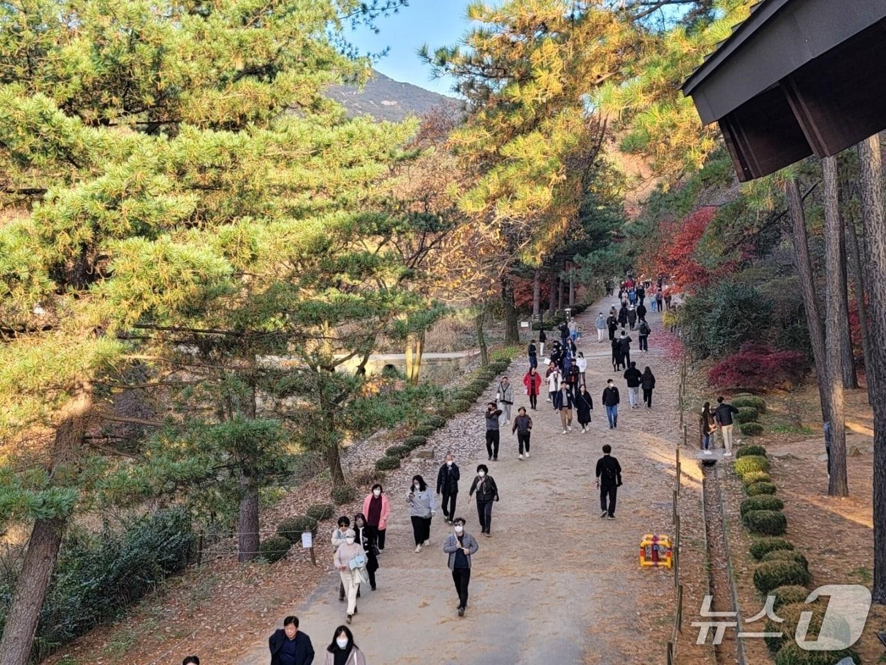 본문 이미지 - 지난 1967년 조성된 서울대 관악수목원이 58년 만에 '서울대 안양수목원'으로 명칭을 변경하고, 오는 11월 전면 개방된다.(안양시 제공. 재판매 및 DB금지)/뉴스1