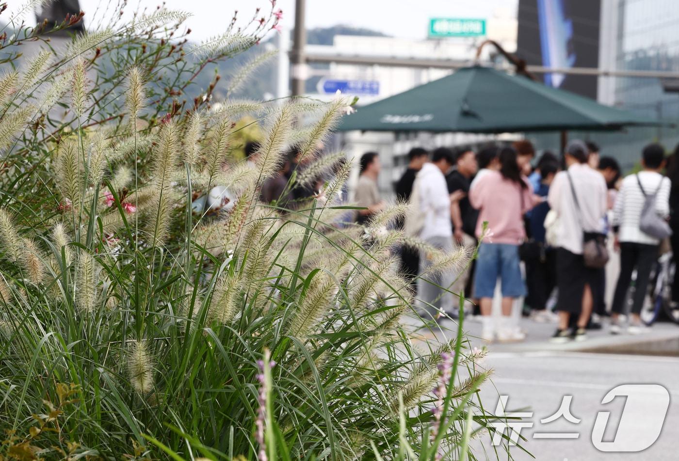 초가을 날씨를 보인 22일 오전 서울 광화문 세종대로 사거리에서 시민들이 발걸음을 옮기고 있다. 2025.9.22/뉴스1 ⓒ News1 김민지 기자