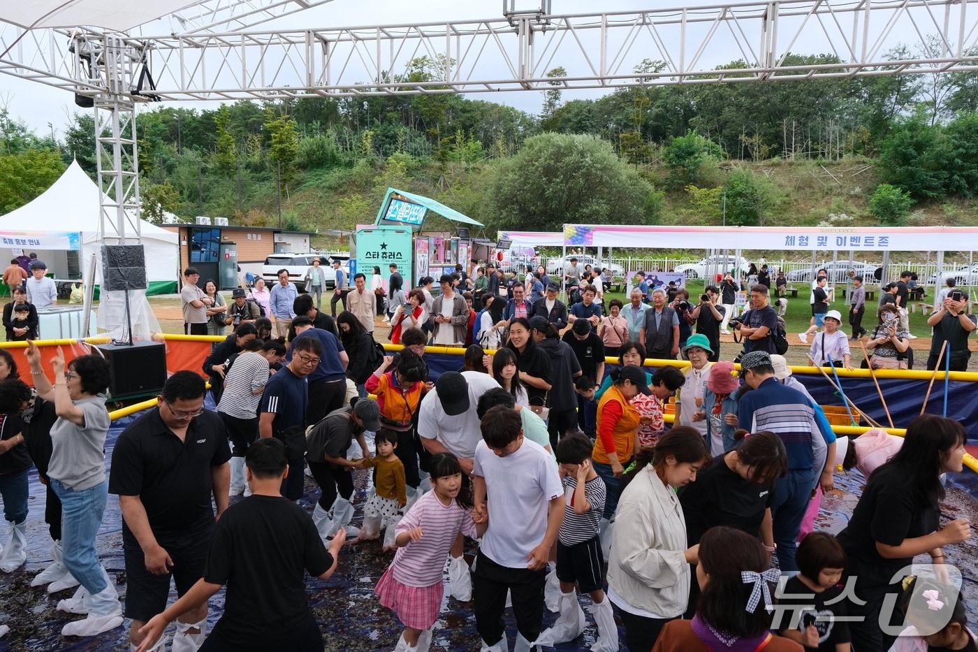 2025 영동포도축제 포도밟기 체험행사&#40;영동군 제공. 재판매 및 DB금지&#41; /뉴스1