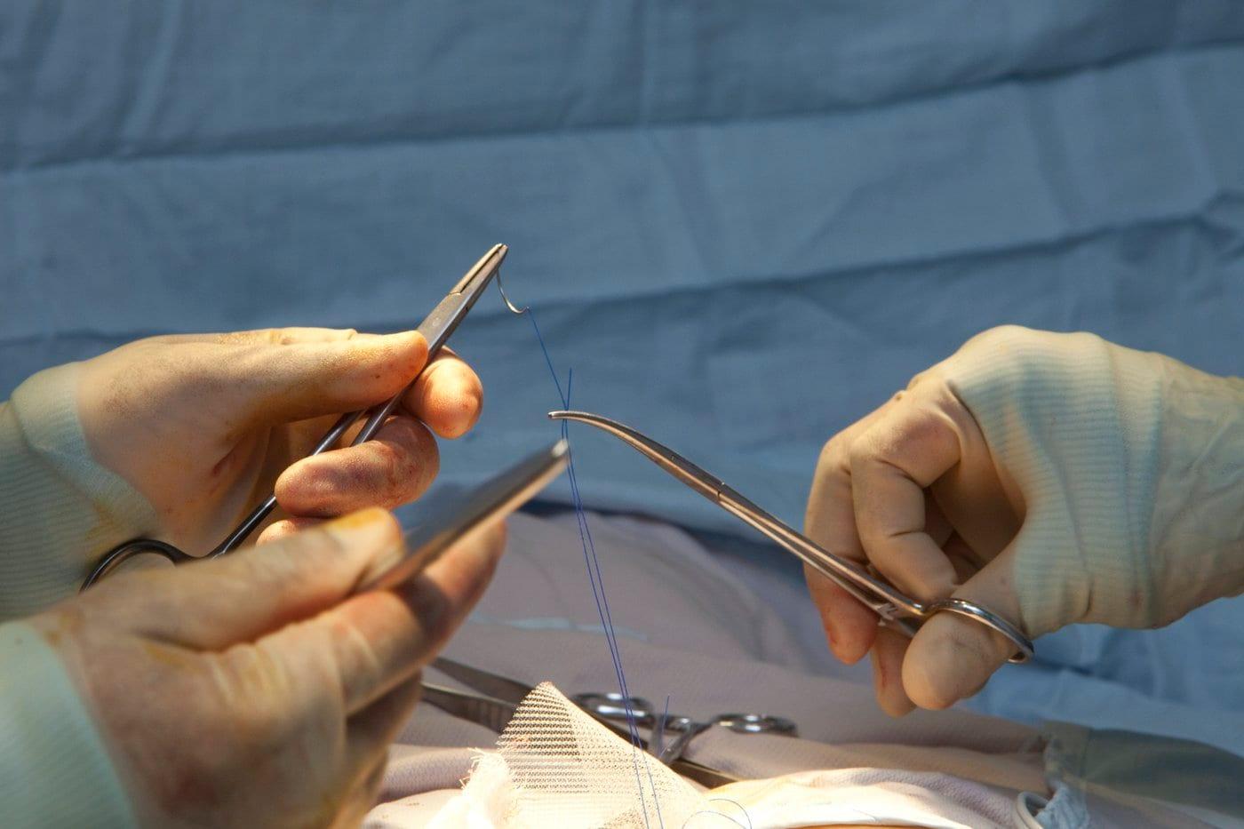 (클립아트 코리아)