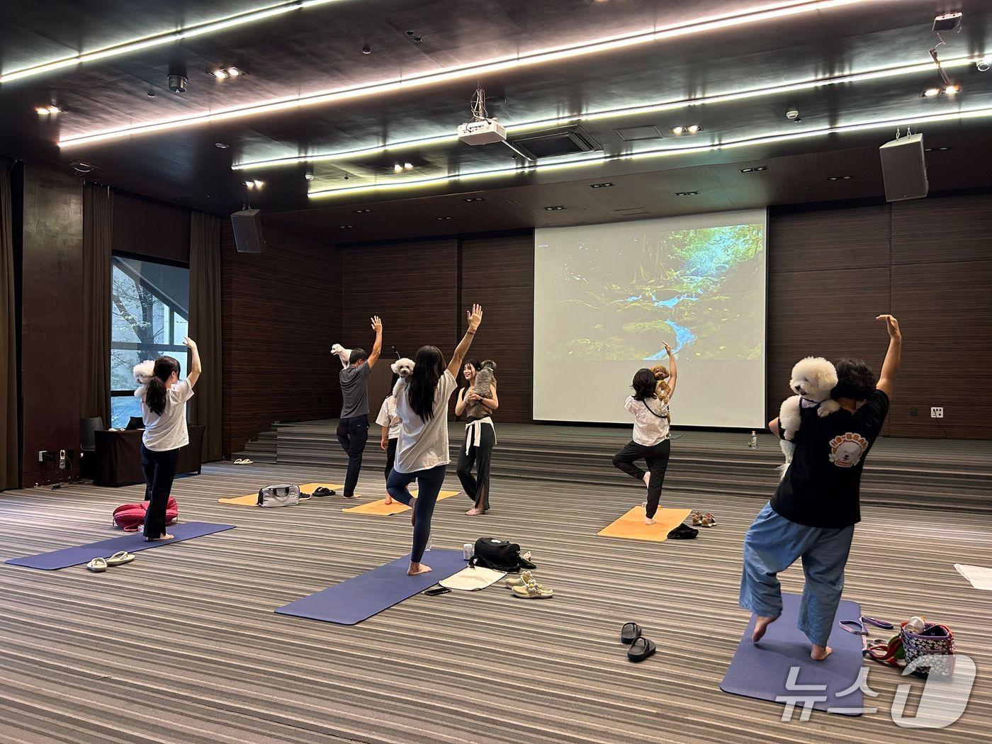 본문 이미지 - 펫 요가(켄싱턴리조트충주 제공)