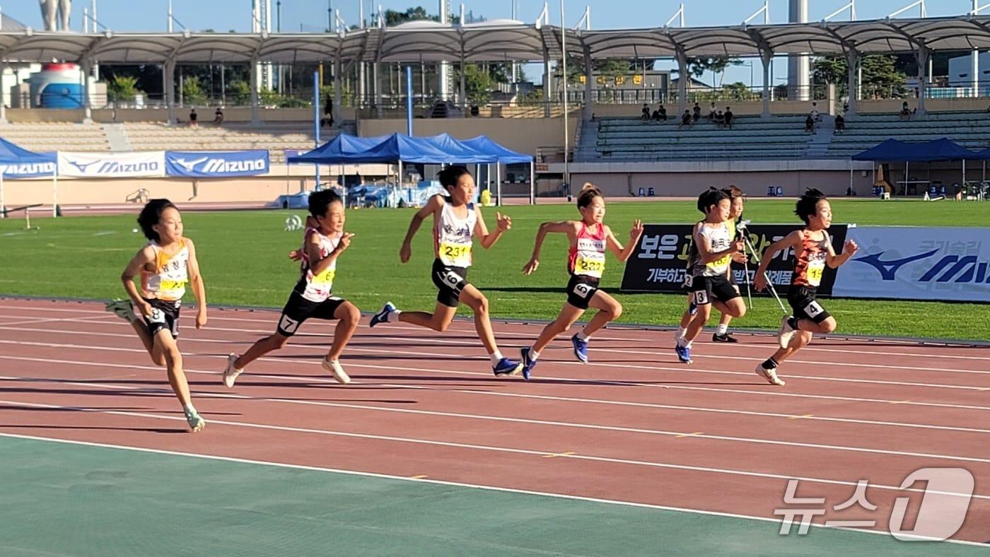 지난해 전국 초중고등학교 학년별 육상경기대회 장면.(보은군 제공. 재판매 및 DB금지)/뉴스1