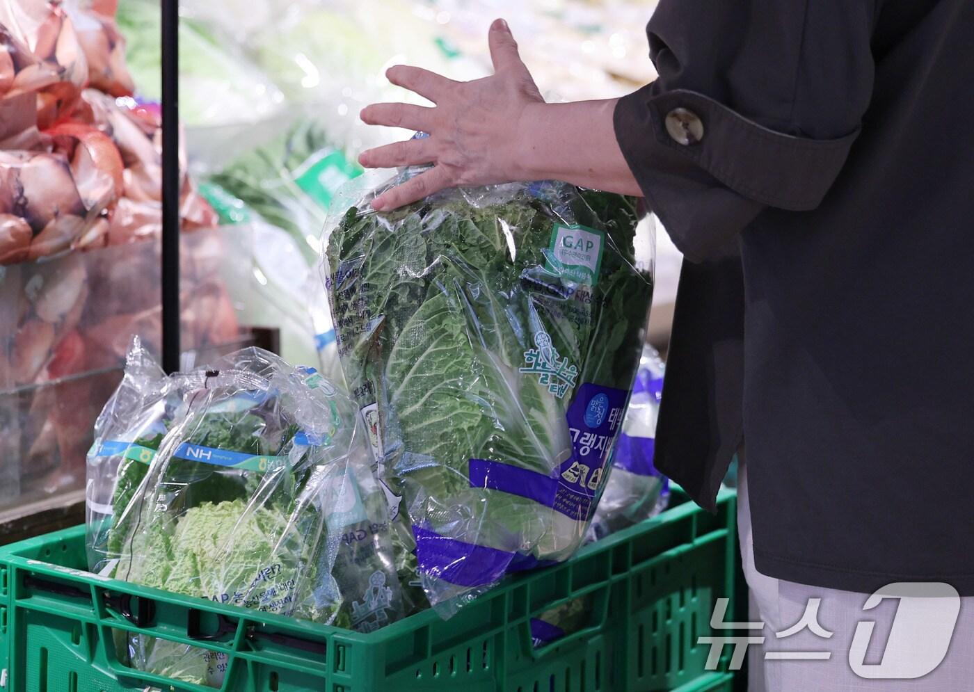 23일 서울의 한 대형마트에서 소비자가 배추를 구입하고 있다. 2025.9.23/뉴스1 ⓒ News1 박지혜 기자