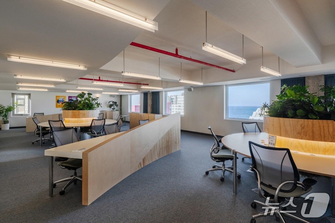  맹그로브 제주시티 내부 (MGRV 제공) 뉴스1 ⓒ News1 