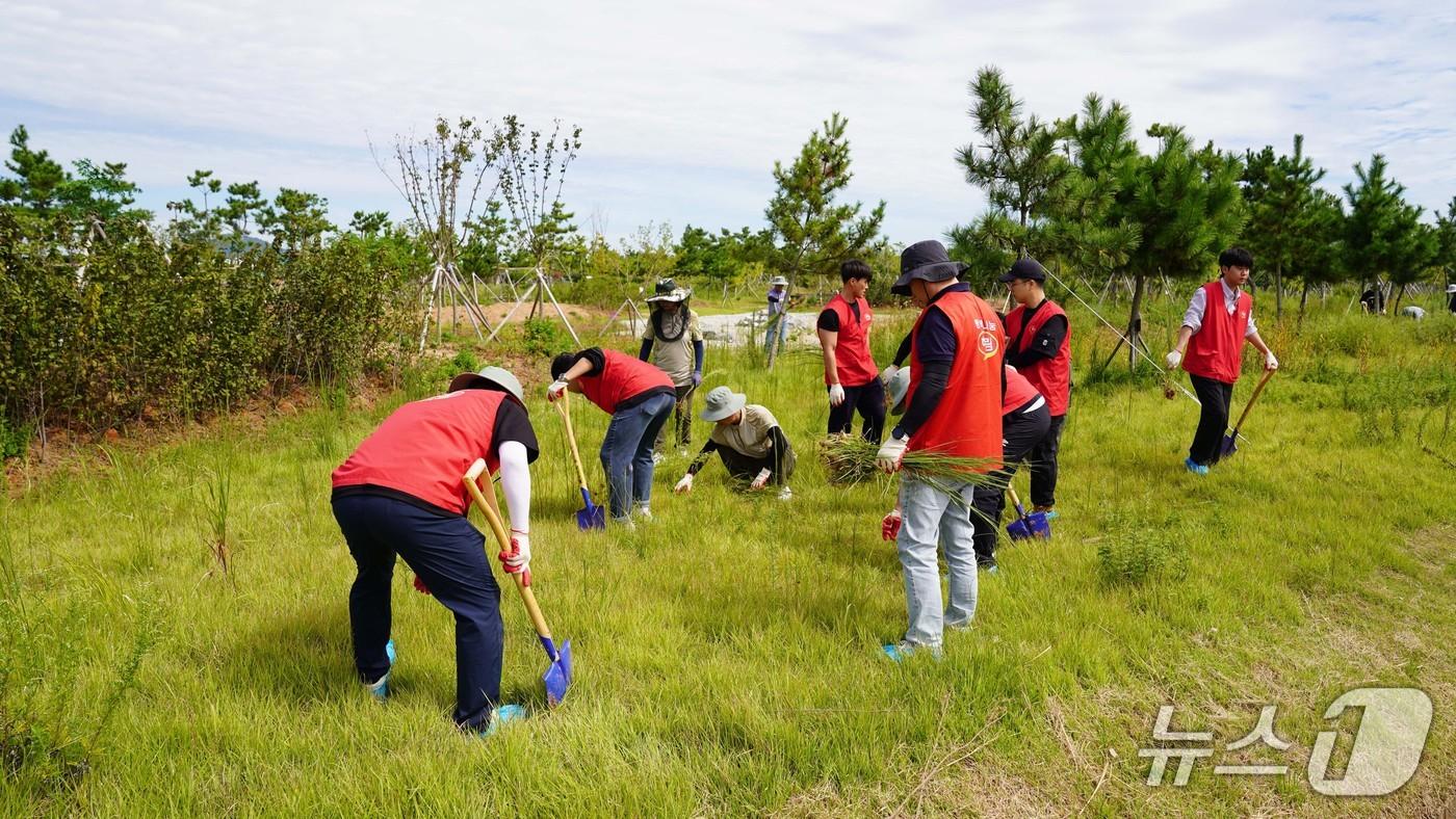 국립공원공단 새만금생태관리단은 23일 &#40;주&#41;하림 임직원과 외래종 유해식물을 제거하고 있다.&#40;새만금생태관리단 제공. 재판매 및 DB금지&#41;
