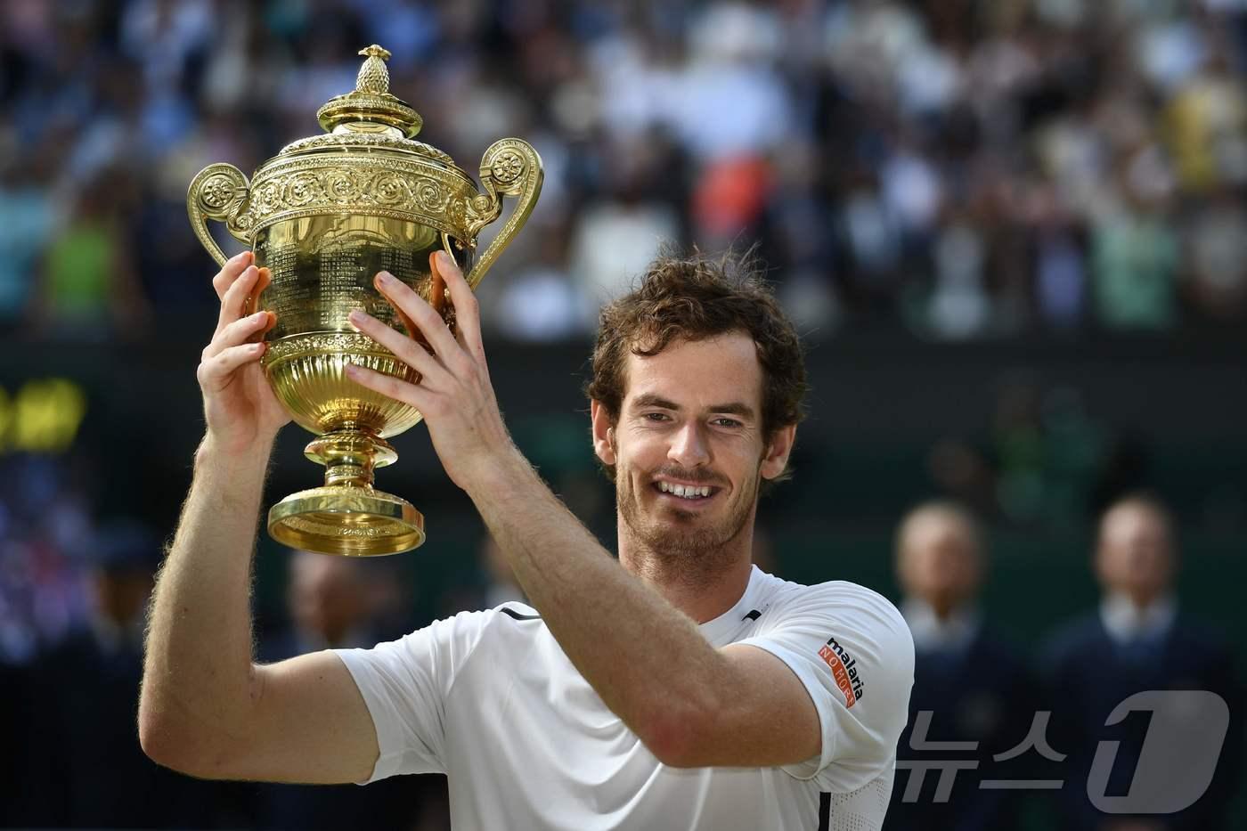 앤디 머리. ⓒ AFP=뉴스1