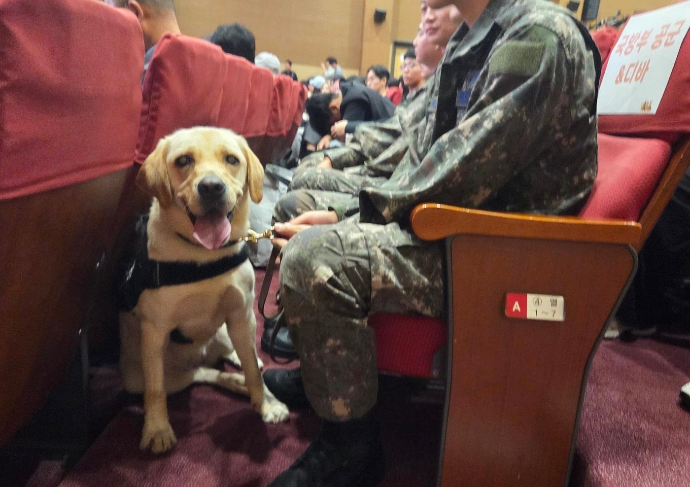 23일 국회의원회관에서 열린 봉사동물 지원 위한 국회정책포럼에 참석한 군견 ⓒ 뉴스1 한송아 기자